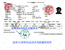 將圖片載入圖庫檢視器 速譯加拿大安省ATIO認證駕照+駕駛認證翻譯+ 郵寄