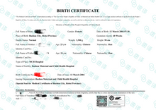 將圖片載入圖庫檢視器 墨尔本本地翻译 | NAATI认证 | 可自取