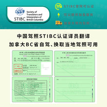 将图片加载到图库查看器,加拿大BC省自驾 中国驾照STIBC认证译员翻译 - 专为加拿大BC省(温哥华等地区)打造 🚗🌟
