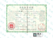 將圖片載入圖庫檢視器 墨尔本本地翻译 | NAATI认证 | 可自取
