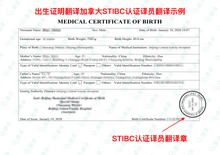 将图片加载到图库查看器，加拿大 BC 省 STIBC 认证译员出生证明翻译
